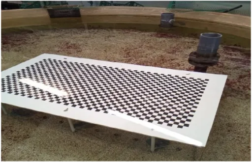 Figura 10 Frame a scacchi immerso nella vasca utilizzata per la correzione e la calibrazione 3D 