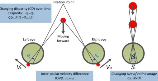 Figure 2.4: Three potential visual cues for MID of a moving object: changing disparity (CD), inter-ocular velocity difference (IOVD) and changing size (CS)