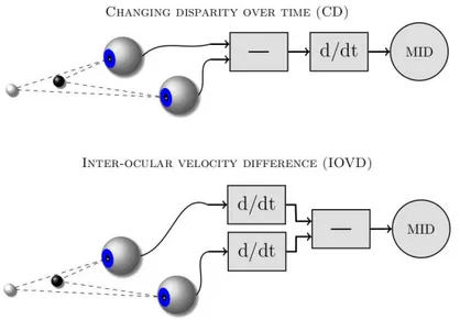 Figure 2.11: Computational schemes for the CD (top) and the IOVD (bottom) cues. ’—’ indicates differencing and ’d/dt’ differentiation