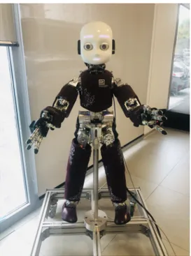 Figure 3.1: The humanoid robot iCub.