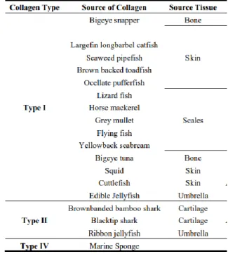 Figura 4  Esempi dei diversi tipi di collagene marino isolati e la varietà di fonti marine