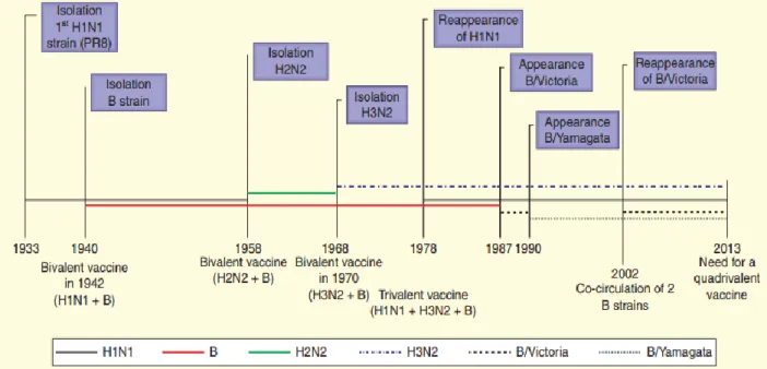 Figura 1. Evoluzione dei virus influenzali e dei rispettivi vaccini.