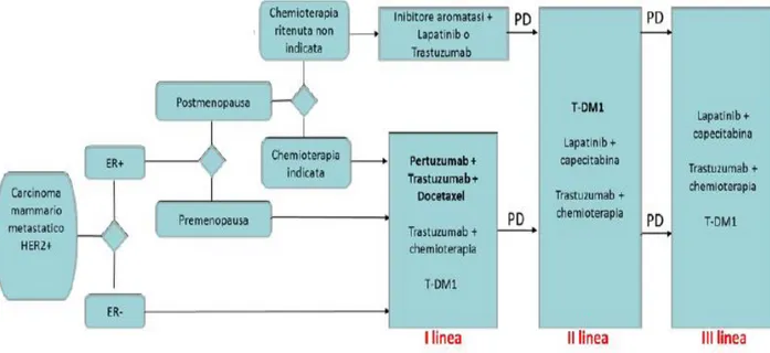 Figura 13. Schemi terapeutici carcinomi metastatici Her-2 +. Fonte: Linee Guida, 2019 