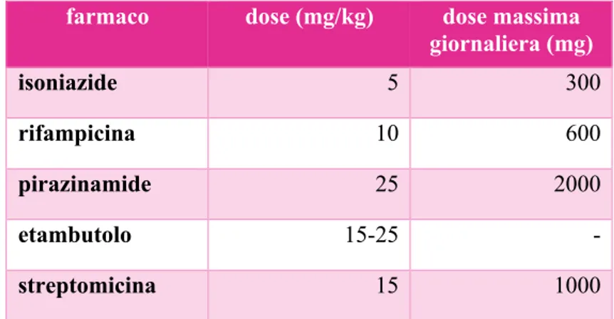 Tabella 2- Posologia dei farmaci di prima linea usati nella terapia antitubercolare. 6 