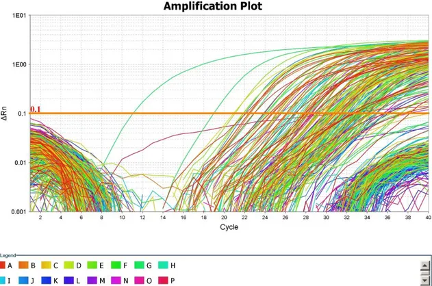 Figura 4. Curve di amplificazione della  RTqPCR . Per ogni campione si ottengono curve di 