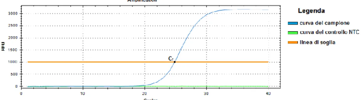 Figura 4. Esempio di curva di amplificazione del segnale di fluorescenza 