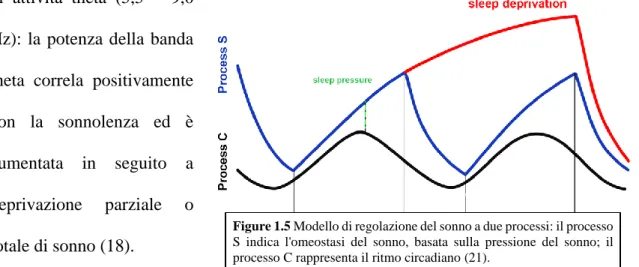 Figure 1.5 Modello di regolazione del sonno a due processi: il processo 