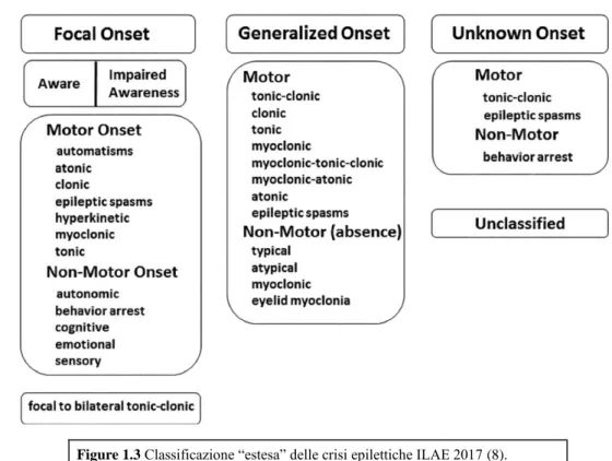 Figure 1.3 Classificazione “estesa” delle crisi epilettiche ILAE 2017 (8). 