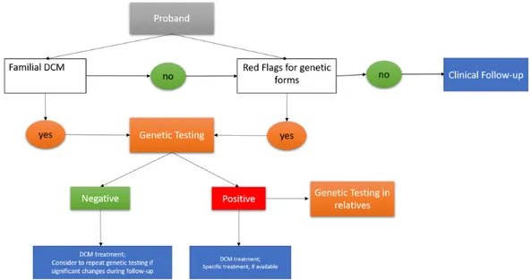 Figura 2 - Indicazioni per i test genetici in probandi e parenti con sospetta NI- NI-DCM genetica (14)