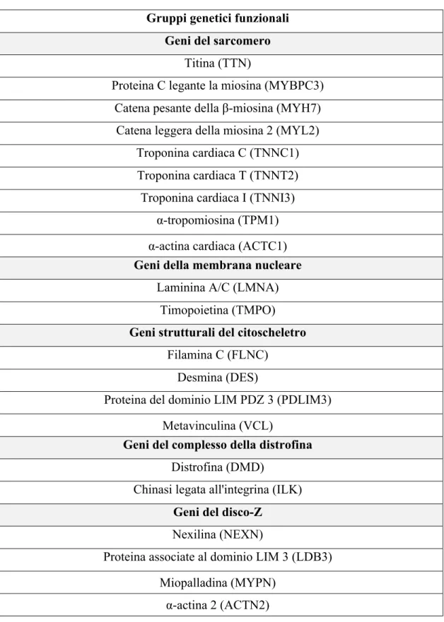 Tabella 1 - Schema gruppi genetici funzionali 