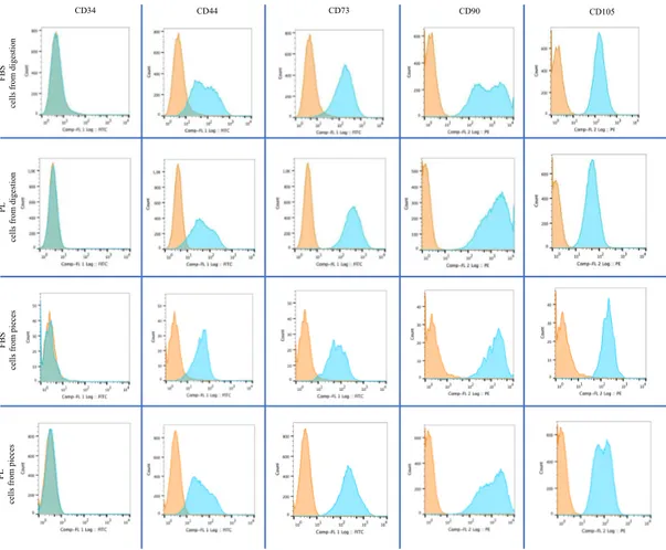 Fig. 6: Confronto fenotipico di NPwd e NPd in FBS e in PL. 