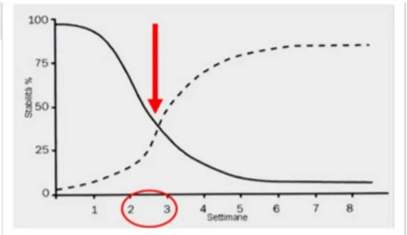 Fig 1 - Il grafico mette in evidenza relazione il tempo con la stabilità implantare (primaria e  secondaria) 