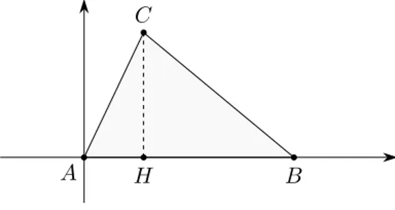 Figura 1 Lamina triangolare omogenea
