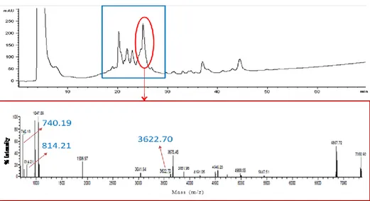 Figure 4. HPLC chromatogram of grass pea WSE (220 nm) and ESI-MS spectrum 