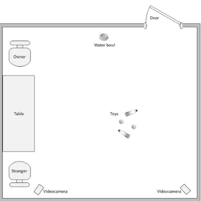 Fig 3.1 Representation of the experimental rooms equipped with two video cameras, a water bowl, dog toys, a desk and 