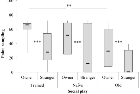 Fig  3.3  Social  play  behavior  with  the  owner  (sum  of  point  sampling  in  episodes  4+7)  and  the  stranger  (sum  of  point 