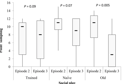 Fig 3.4 Social play behavior with the stranger in the last minutes of episode 2 (i.e. owner present) and the first of episode 