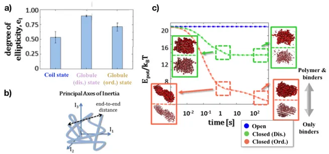 Figure 2.5.  Structural properties of stable state at equilibrium and during dynamics