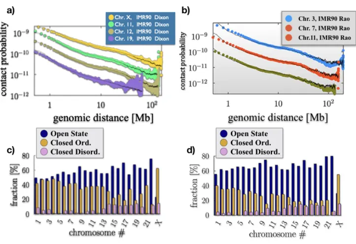 Figure 2.7: Fitting chromosomes trend of average contact frequency using different stable  conformation