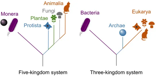 Figure 1: The five-kingdom and three-kingdom systems of life  