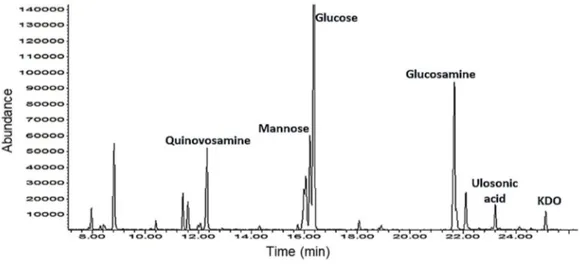 Figure 18: GC-MS chromatogram of MGA derivative of Pseudoalteromonas sp1A1 LPS 