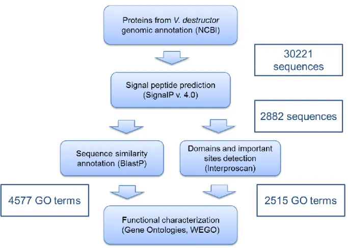 Fig.  6  -  Bioinformatic  pipeline  used  to  predict  and  functionally  characterize  the secretome of V