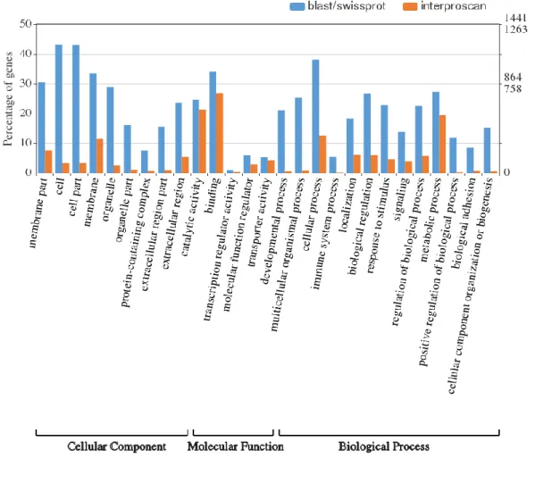 Fig. 8 - Histograms reporting Gene Ontologies Level 2  