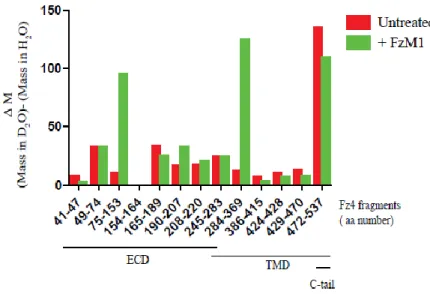Figure 11. Analysis of FzM1 binding by HD exchange. Immuno-purified Fz4-wt,  treated or not with FzM1, was incubated on ice with D 2 O to allow H to D exchange