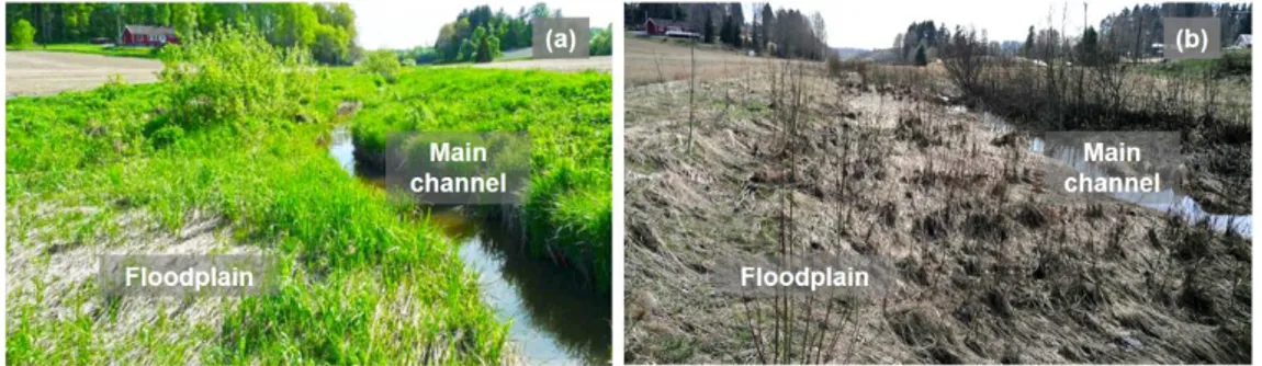 Figure  3  –  Seasonal  variability  of  floodplain  vegetation  morphology:  summer  (a)  and  winter  (b)  conditions