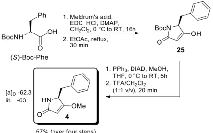 Figure 2.15. Synthesis of the pyrrolidinone unit 24. 