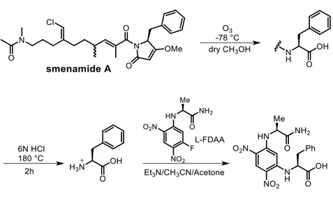 Figure 2.20. Ozonolysis, hydrolysis and derivatization of smenamide A with l-enantiomer of  Marfey’s reagent