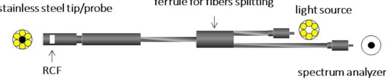 Figure 4.1 shows the schematics of the experimental apparatus employed for the real-time reading of RCFs.