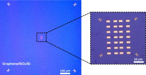 Figure 2.8 Optical images of the first array of gold contacts (Cr/Au 3nm/30nm) and alignment markers 