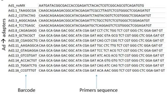Figure  8.  Custom  Nextera  PCR  Primers.  PCR  primers  are  used  to  amplify  fragment  of  opened  chromatin