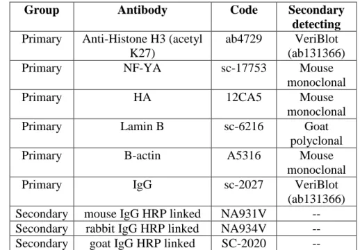 Table  2.  Antibody  list  used  in  this  work.  The  table  is  divided  in  Group,  Antibody,  Code  and    Secondary detecting