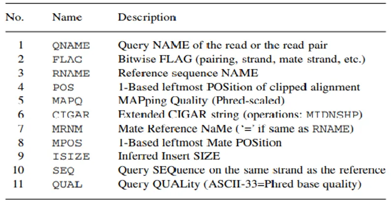 Figure 9. Sam output structure. Detailed field in Sam file are QNAME, FLAG, RNAME,  POS, MAPQ, CIGAR, MRNM, MPOS, ISIZE, SEQ, QUAL (Li H et al., 2009)