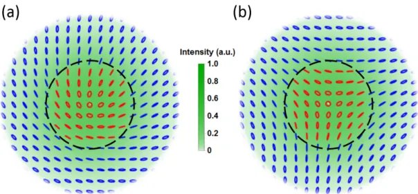 Figure 3.2: Polarization patterns of FP beams. In(a) a FP beam obtained superposing orthogonally polarized LG 0,0 and LG 0,1 modes is shown