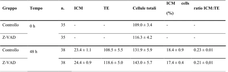 Tab. 3.2 Distribuzione delle cellule (mean ± SE) nel nodo embrionale (ICM) e nel trofectoderma (TE) al giorno 7 di blastocisti  bovine  vitrificate a  0 e 48 ore post riscaldamento in assenza (Controllo) o presenza dell’inibitore