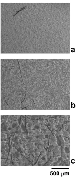 Figure  2.4.  False-colour  SEM  images of  filter  surfaces  containing microfibres  coming  from PEC washed under domestic condition with: water (a), liquid detergent (b) and  powder detergent (c)