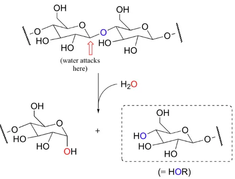 Figure 1. Glycosidases reaction mechanism.  