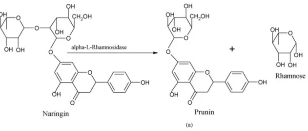 Figure 2. Hydrolysis of naringin to prunin by α-L-rhamnosidase in the corrisponding product: prunin (a) 
