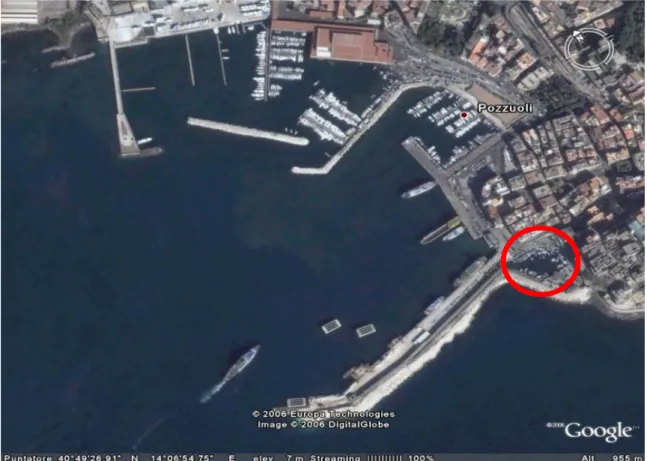 Figure 6. An overview of the harbour of Pozzuoli, where Novosphingobium sp. PP1Y was isolated