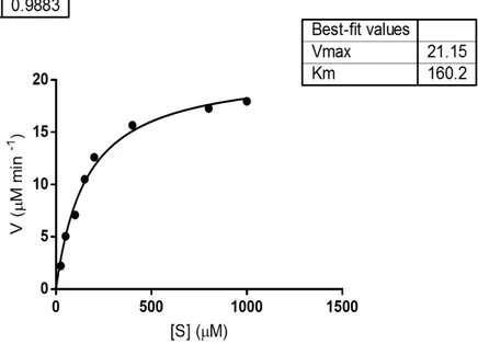 Figure 9. rRHA-P kinetic behavior using pNPR as substrate. Reaction rate expressed in μM/min is 