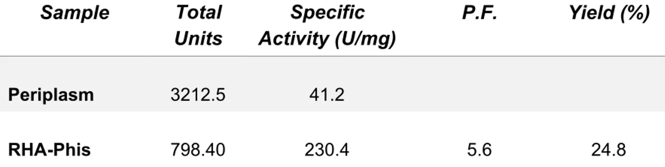 Table 3. Purification table of rRHA-Phis. S.A: specific activity. U tot: total units  