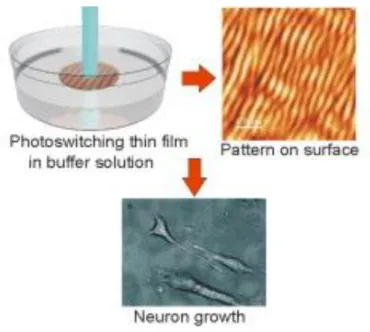 Figure 1.17 Inscription of a pattern on the surface with a laser when the biopolymer thin film is immersed in a buffer  solution