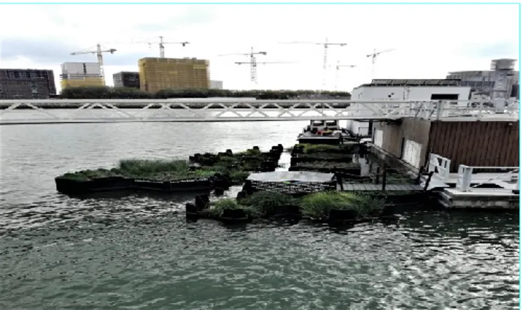 Fig. 13 _ Rotterdam, orti galleggianti in contenitori di plastica riciclata. La  città include il fattore natura urbana ed esplora la fattibilità di alcune  pratiche sull’acqua come parte di nuovi, possibili modelli di vita adattivi  da adottare in futuro