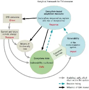 Fig. 5 _ framework analitico delle misure EbA. Fonte: Olivier,  J., Probst, K., Renner, I., Riha, K., Ecosystem-based 