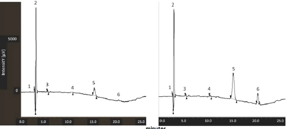 Figure 3.2. Representative chromatograms for the samples “dry tomato extract” (left) and “fresh tomato extract” (right)