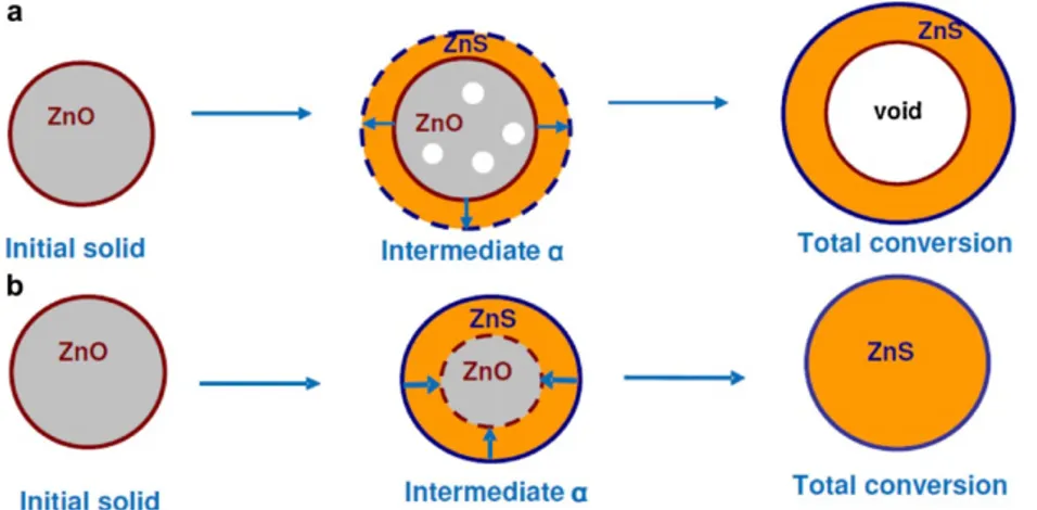 Fig. 1.3. Schematic representation of an outward (a) and an inward (b) growth of  ZnS phase during the ZnO sulphidation reaction (Neveux et al., 2012)