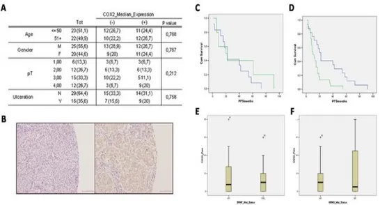 Figure 4.14: Clinical-pathological characteristics of melanoma patients  and tumours and relation to COX-2 expression